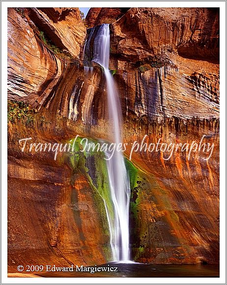 450577   Lower Calf Creek Falls a vertical view